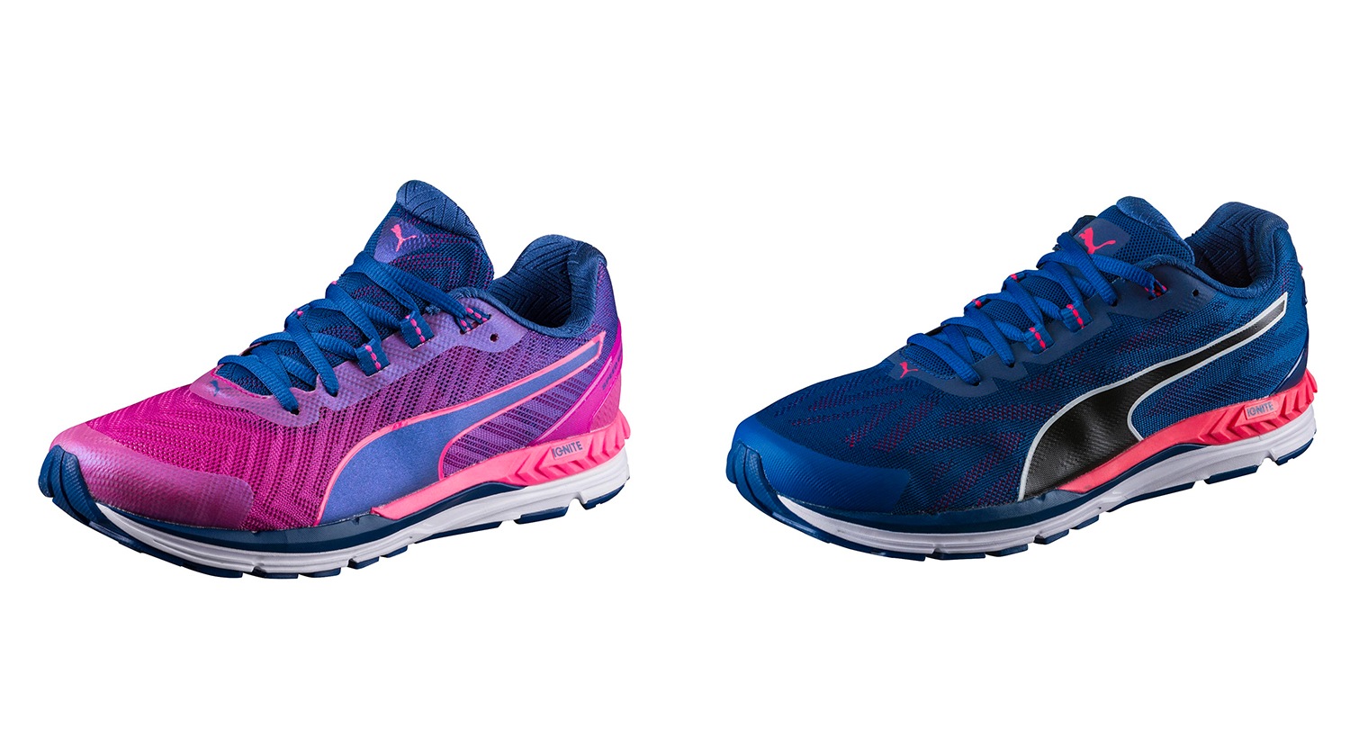 puma spring and rubber industries
