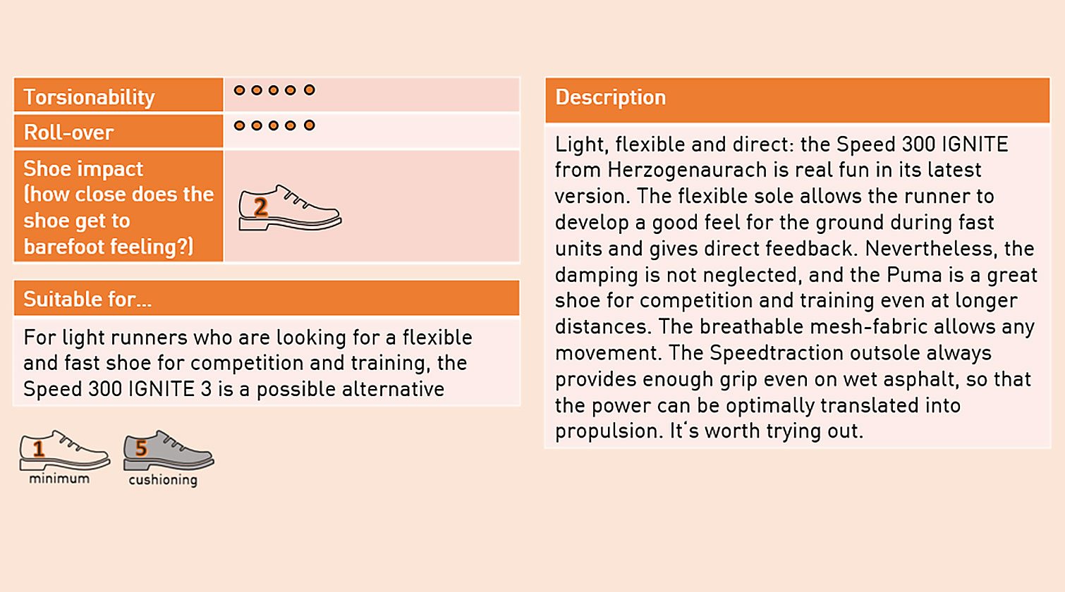 Shoe Test_G2 (2) PUMA CATch up