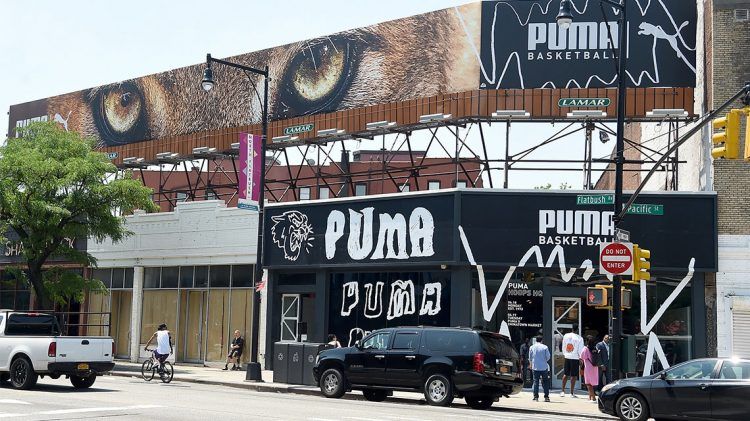 puma back in basketball