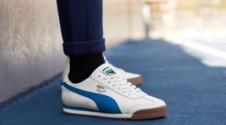 4 Easy Ways To Clean Pumas Wikihow